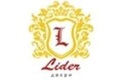 Логотип  «Лидер Двери» - фото лого