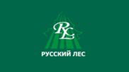 Русский лес