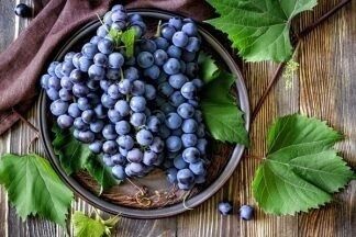 Сорта винограда кишмиш: выбираем лучшие