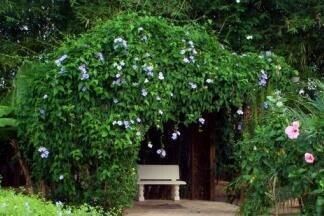 Как сделать садовые арки своими руками - лучшее украшение дачного участка