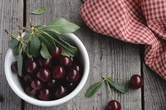 Чтобы ягодка в ягодку! Обрезка вишни весной: важные нюансы и советы