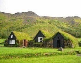 Дом с травяной крышей: взвесим все «за» и «против»
