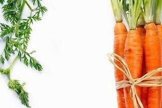 Выращивание моркови: ключевые моменты
